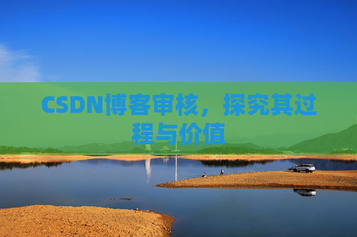 CSDN博客审核，探究其过程与价值